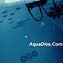 AquaDios Commercial Prototype